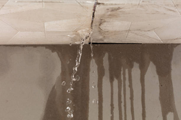 Professional Water Extraction technician working in Trade, TN